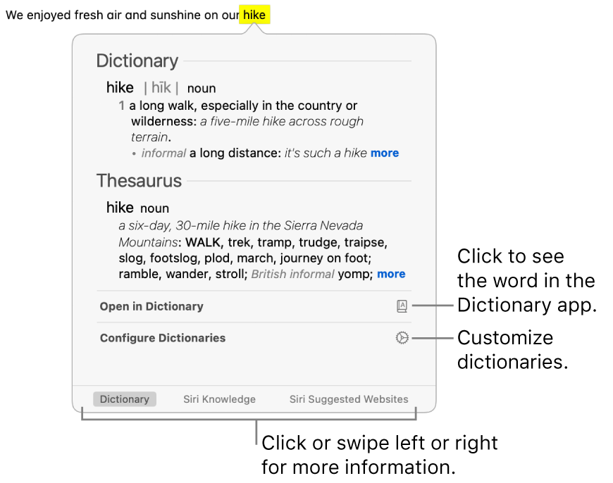 synonym for correct doesnt work in word for mac